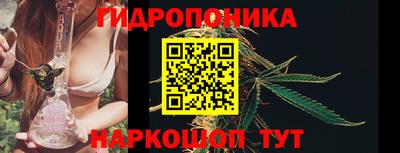твердый Будённовск
