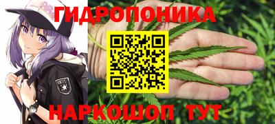 твердый Будённовск
