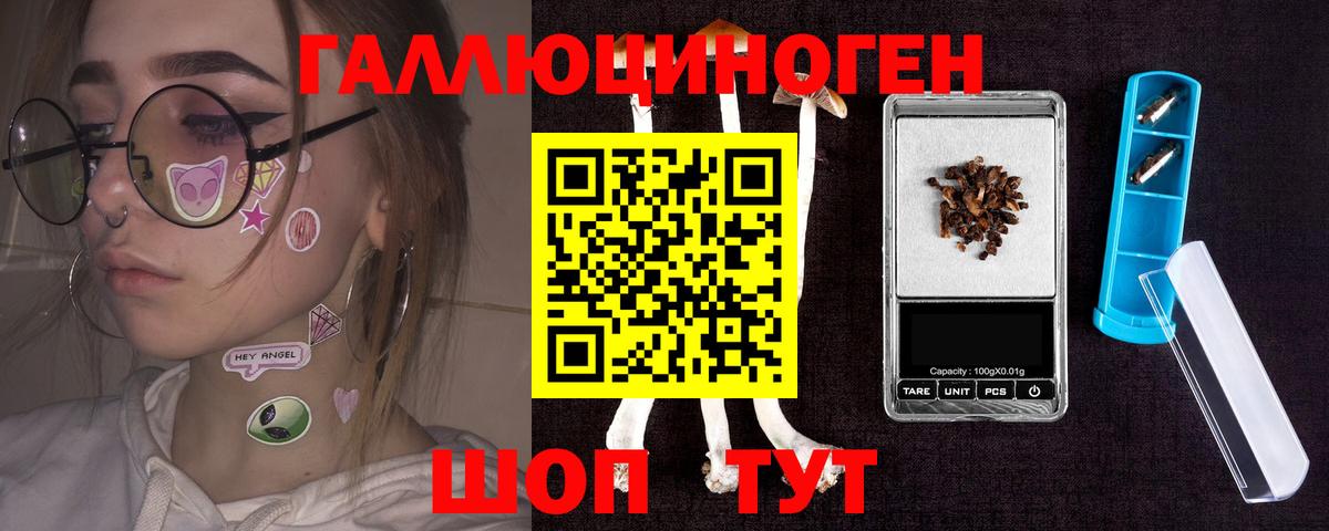 Псилоцибиновые грибы Psilocybe Печора